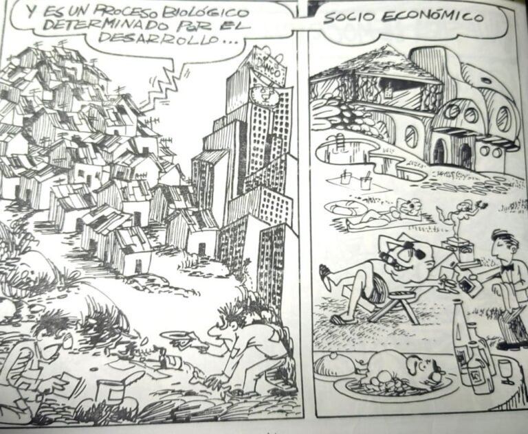 photo 3 2025 11 19 18 43 07